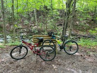 Two bikes lean against a bench in the woods